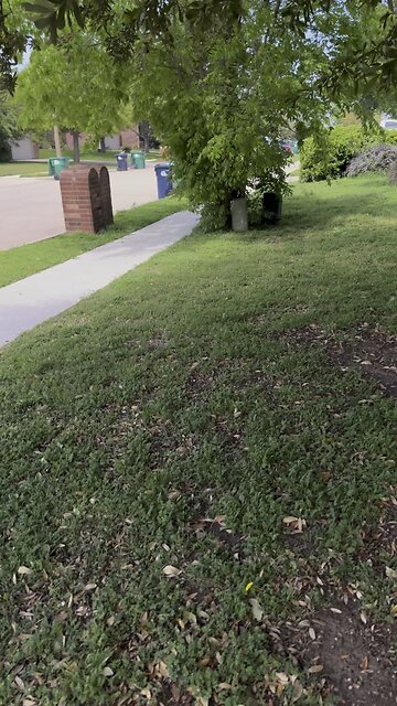 North Texas Eclipse Was A Bust