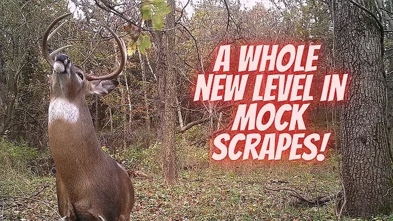 Active branch holder | Take mock scrapes to a whole new level