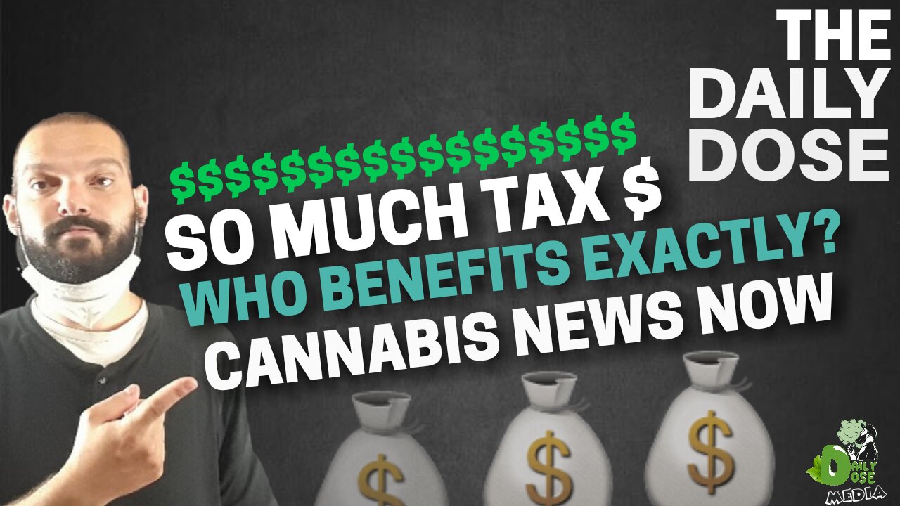 Cannabis Tax Revenue Continues To Grow My Thoughts Wander Around All The Cannabis News Now