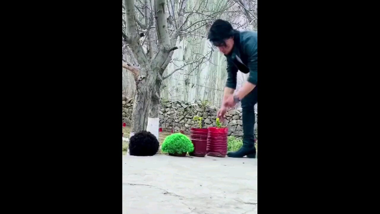 Comedy very funny