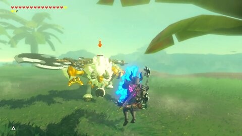 Breath of the Wild Master Mode 111