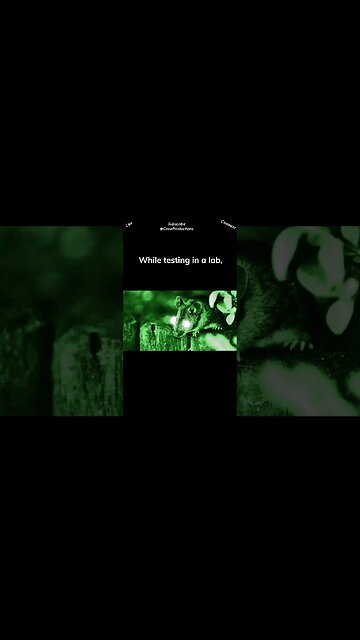 Did you know scientists once gave mice superhero like night vision using nanoparticles?