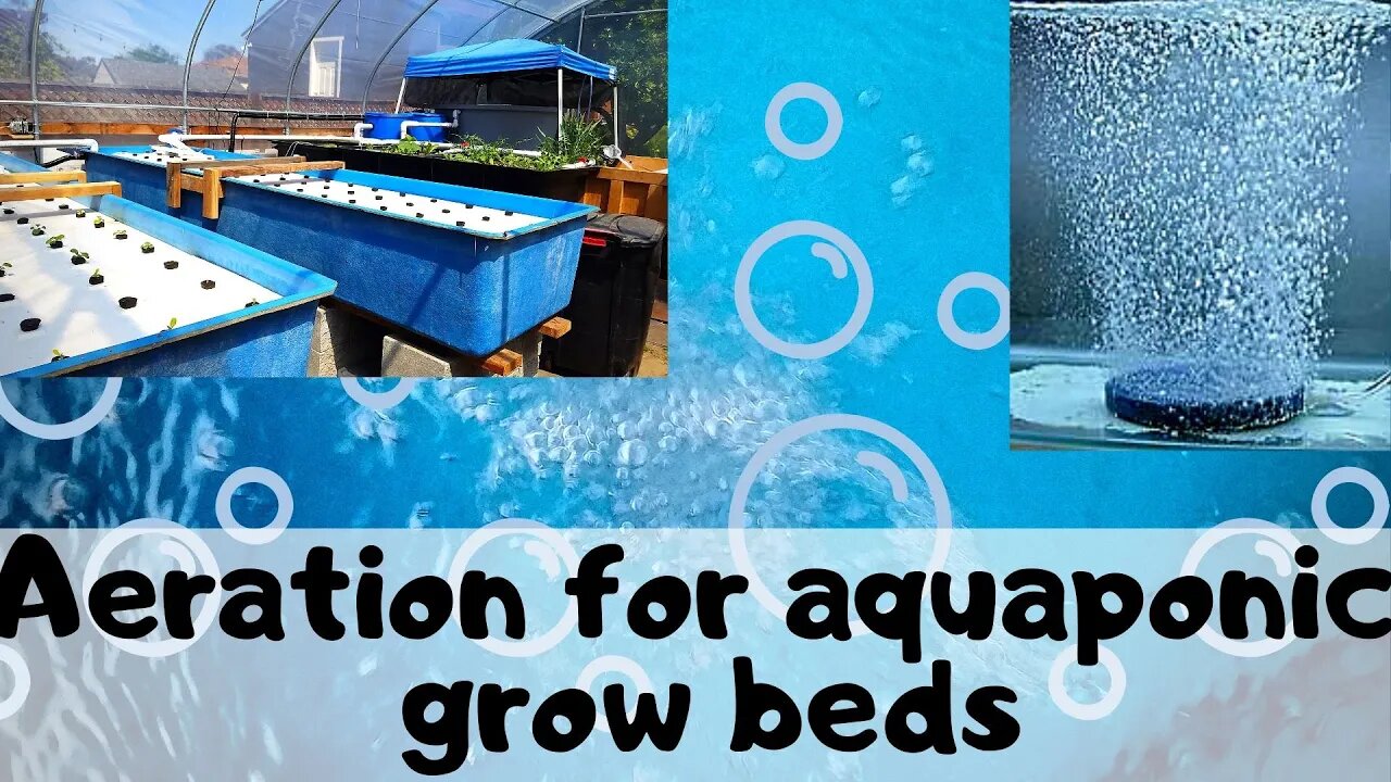 Aeration for floating rafts/ DWC auaqponics PART 1 (hybrid aquaponic system)