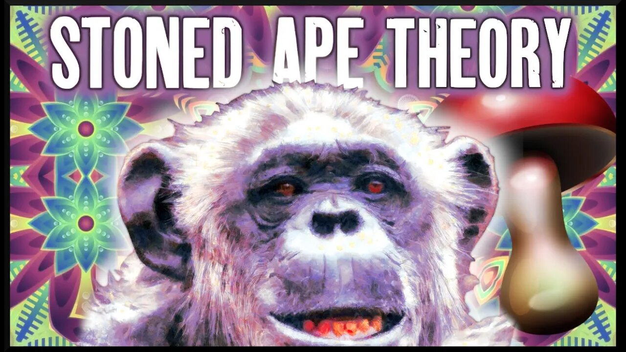 Stoned Ape Theory | Mushrooms, Evolution, Intelligence