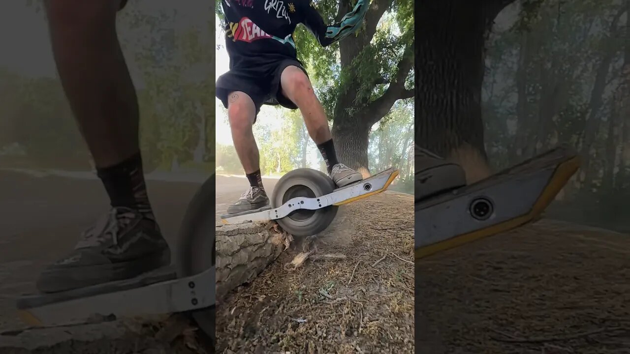 What's wrong with that Onewheel?