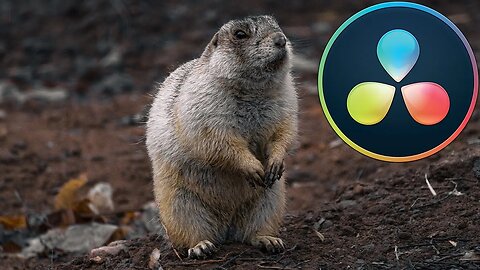 Color Correcting your Videos in DaVinci Resolve