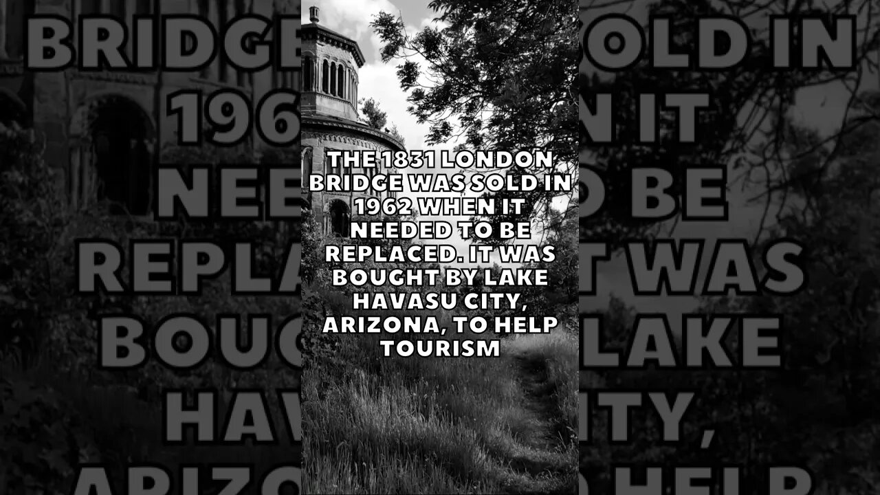 Incredible Random Facts That Will Expand Your Mind! [2023] #shorts #facts #viralshorts #fyp #life