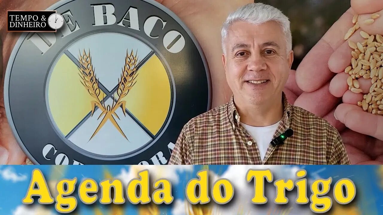 A partir de agora, o plantio de inverno será decisivo para a formação dos preços, atenção ao câmbio.