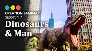 Creation: Dinosaurs & Man | Session 7