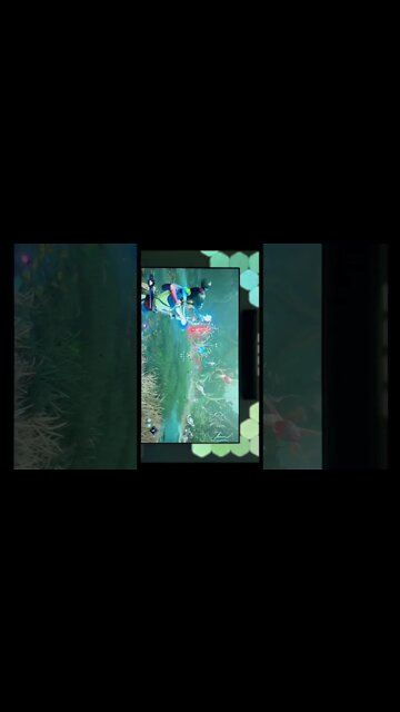 Kena Bridge of Spirits on an LG C1! Full video on my channel #gaming #gamingsetup #kena #nanoleaf