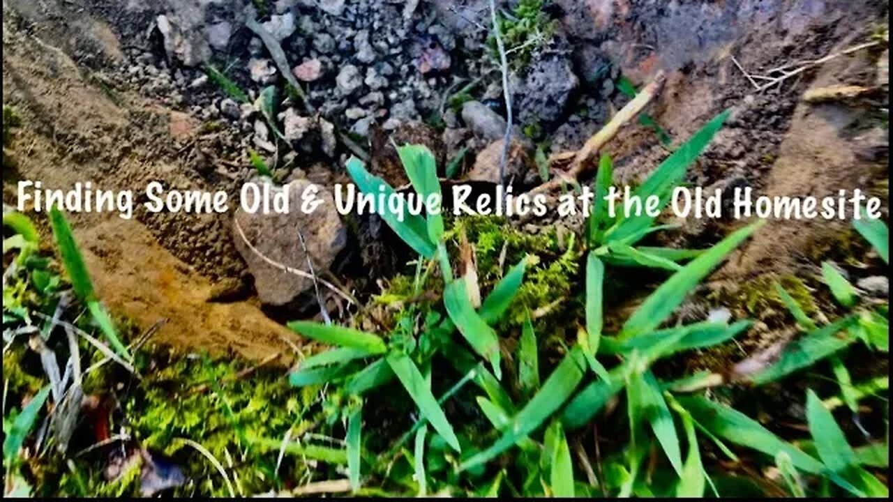 Unique Old Relics Found at the Old Homesite / Metal Detecting USA 🇺🇸/ Southern Virginia / Equinox