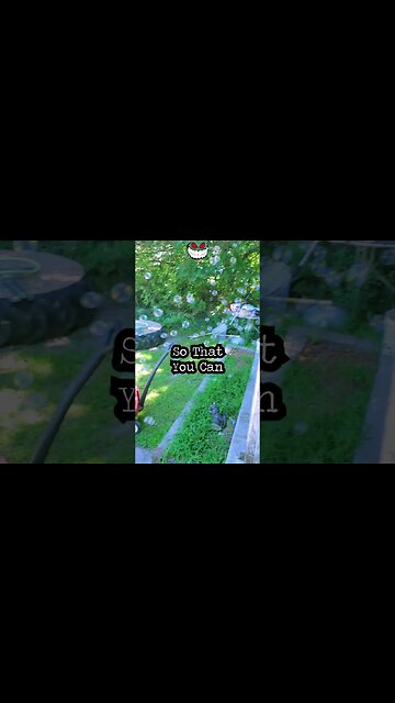 Develop Courage, Stand Up For Yourself, Then For Somebody Else #quotes #cywakeman #courage #standup