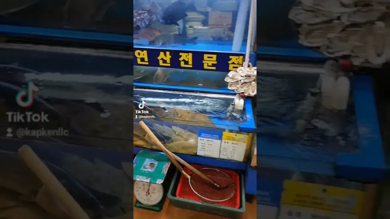 Noryangin seafood Market | Seoul Korea