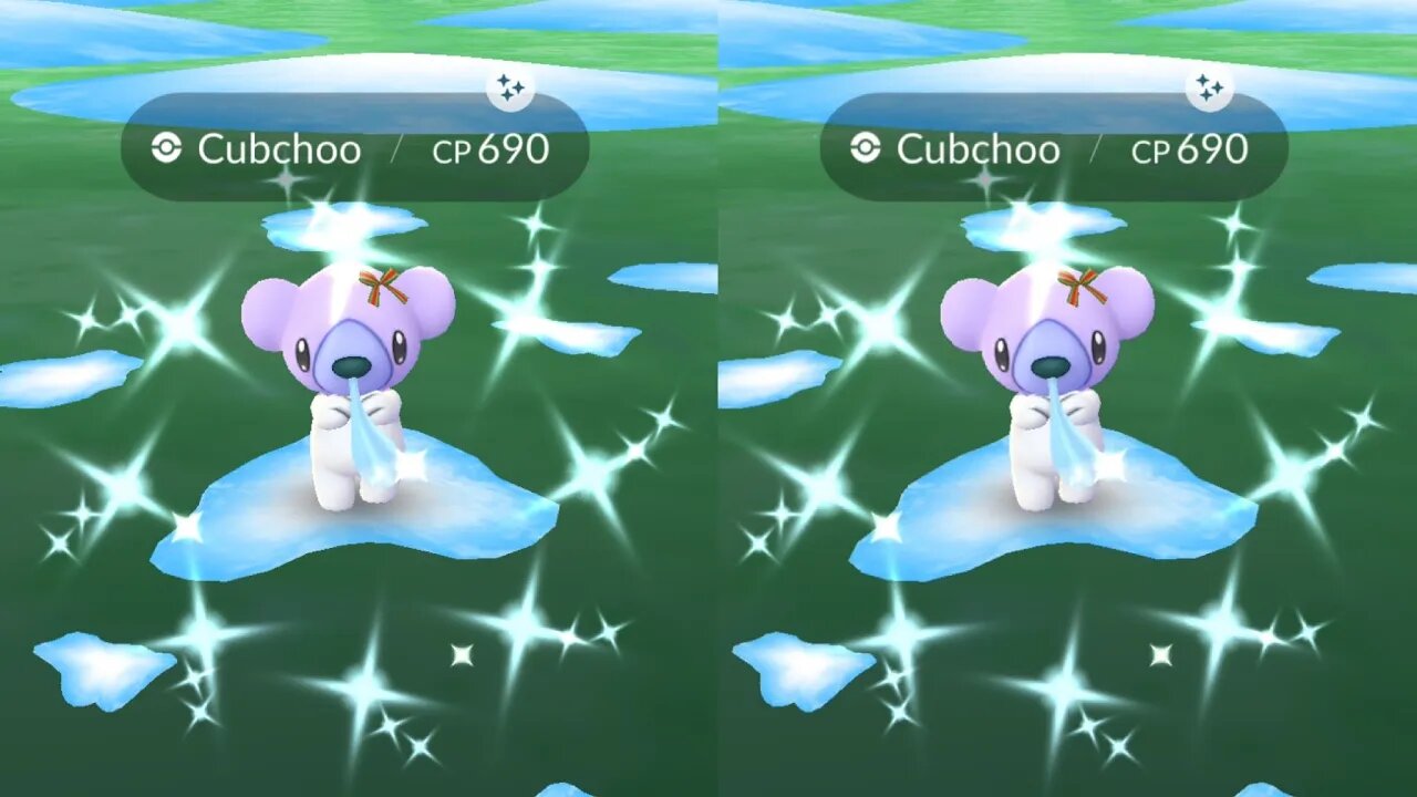 Encountering Shiny Ribbon Cubchoo