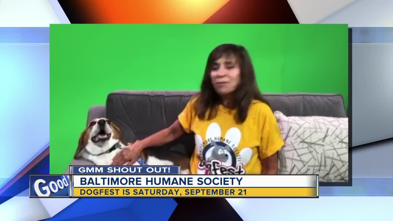 Good morning to Porkchop & The Baltimore Humane Society!