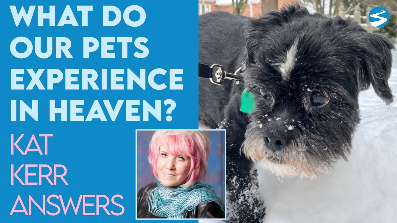 Kat Kerr: What Do Our Pets Experience in Heaven? | Feb 9 2022