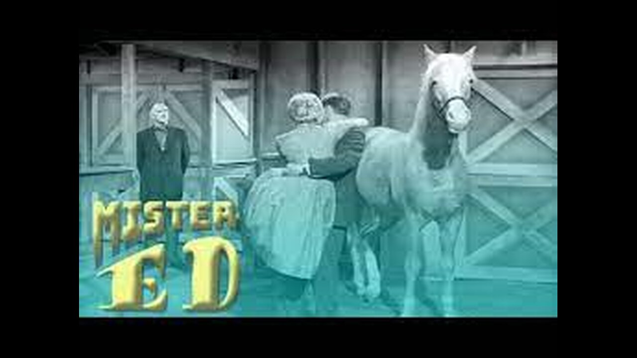 Mister Ed S01E02 The Ventriloquist