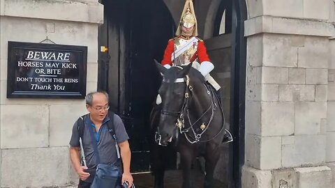 Tourist jumps when the horse touches him #horseguardsparade