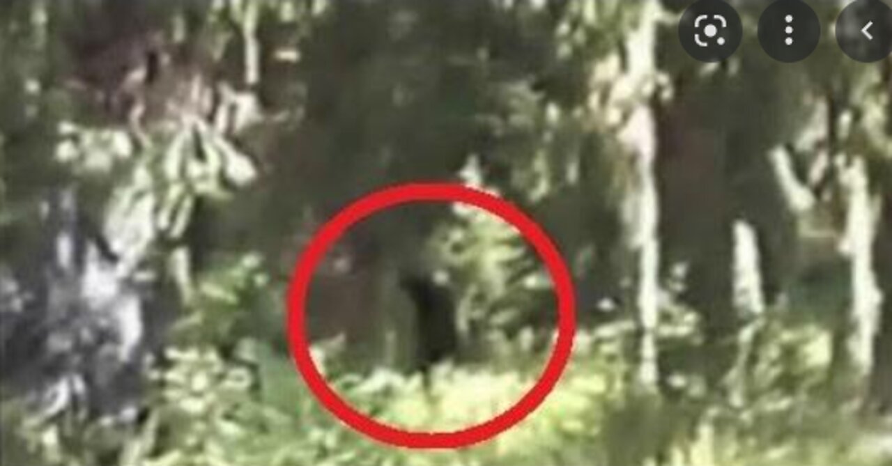 The famed Bigfoot footage shot by cryptozoological forefather Paul Freeman