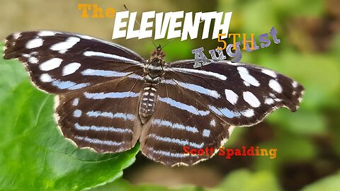 The ELEVENTH 5th August | Scott Spalding |