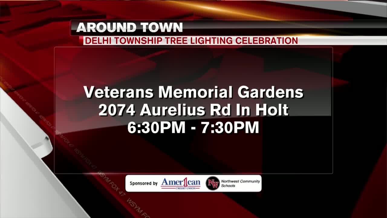 Around Town - Delhi Township Tree Lighting Celebration