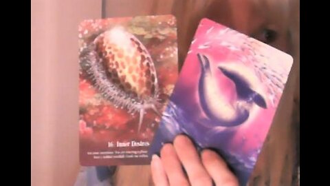 Sagittarius April/May 2021 Tarot - Freedom May Be Closer Than You Think