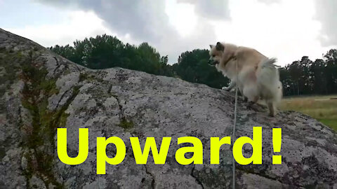 The Upward Movement