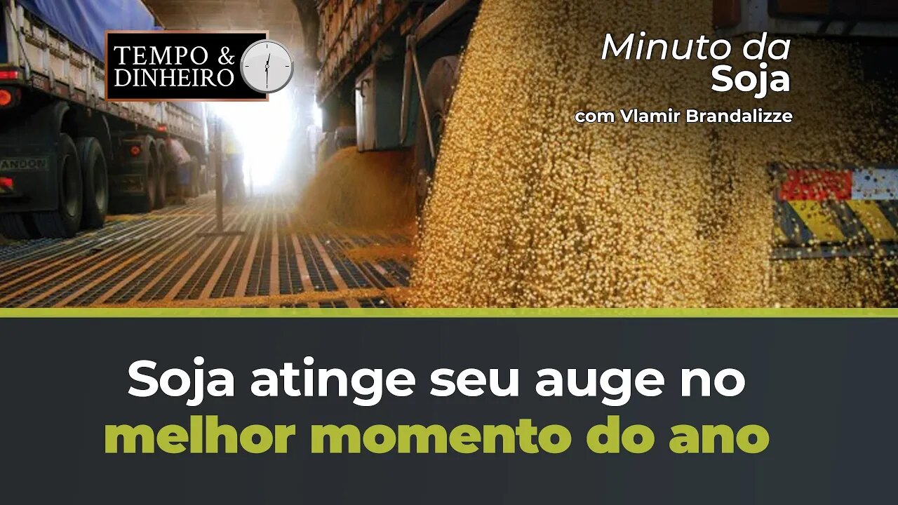 Soja no melhor momento do Ano