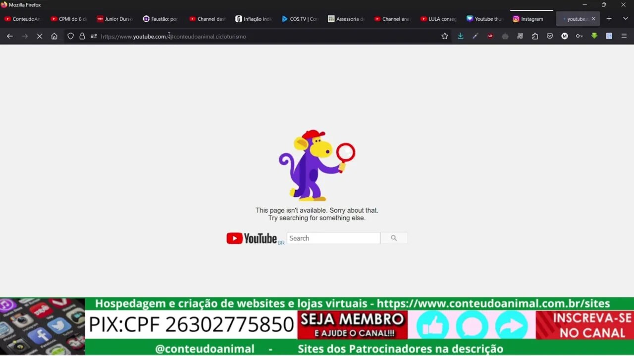 obs studio multiperfis multiplataformas patrocinado por @zonacuriosa487