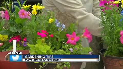 Gardening Tips