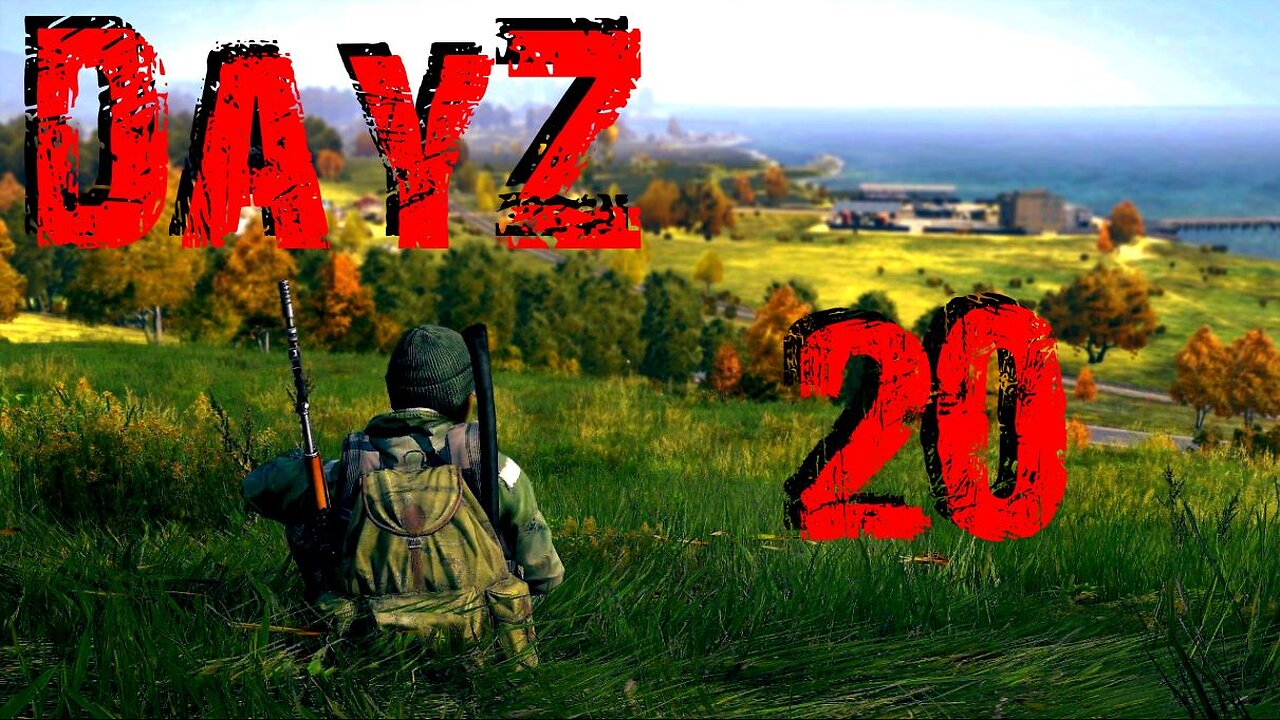 DayZ #20