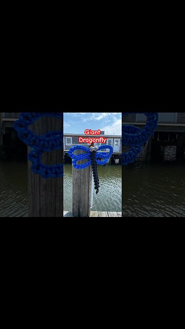 Who doesn't love dragonflies? #macrame #shorts