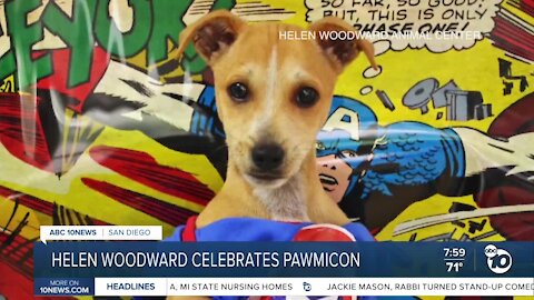 Helen Woodard celebrates Pawmicon