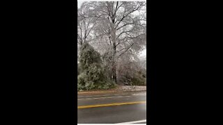 Memphis Ice Storm 2022 Part 1