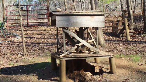 The Daily Activities of the Birds and Animals at The Old Barn.