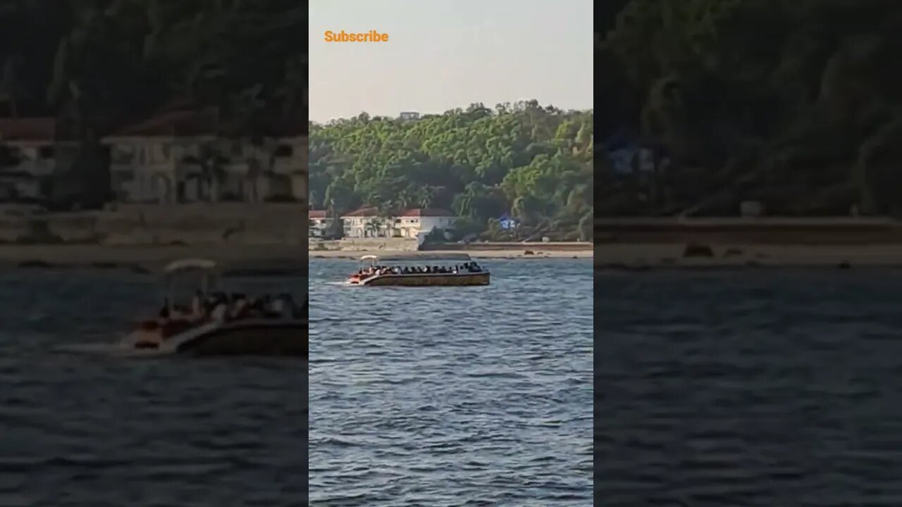 Dolphin Trip in Goa #youtubeshorts #shortvideo #viral #shorts #naturephotography #touristattraction