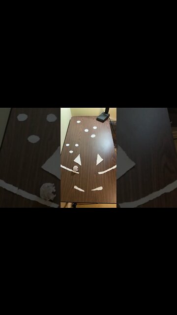 Amazing Shorts Most Amazing Video for Entertainment #shorts #youtube #viral #trending @youtube(4)