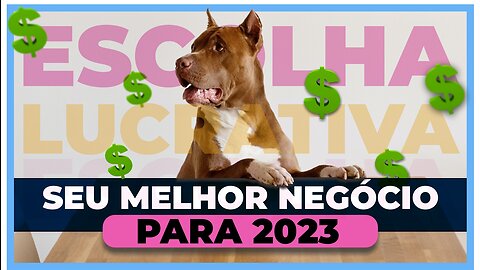 66 ideias de negócios lucrativos para 2023 | Um deles pode te deixar rico.