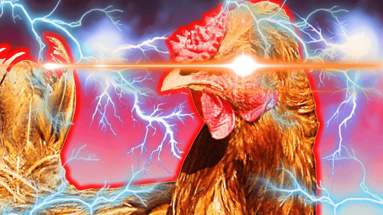Time For The Chicken To rage rage RAGE!!! 2 - #2
