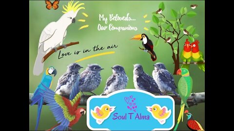 🦜🦅🐦🌳 What A Beautiful Bird!!! 💚🦉🦚🐦