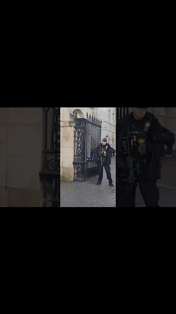 Make way for the pigeon #horseguardsparade