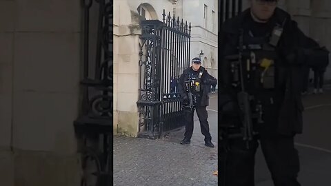 Make way for the pigeon #horseguardsparade