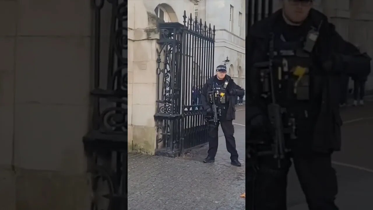 Make way for the pigeon #horseguardsparade