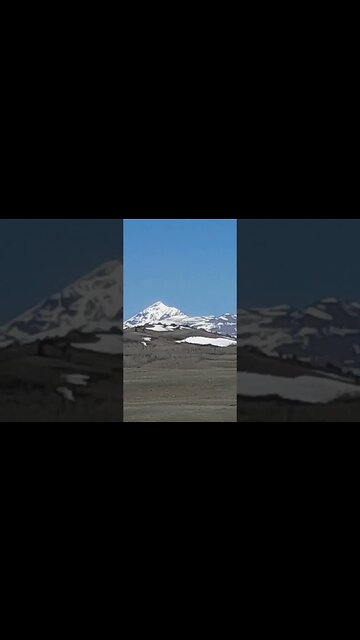 Spring is here part two 4 30 23