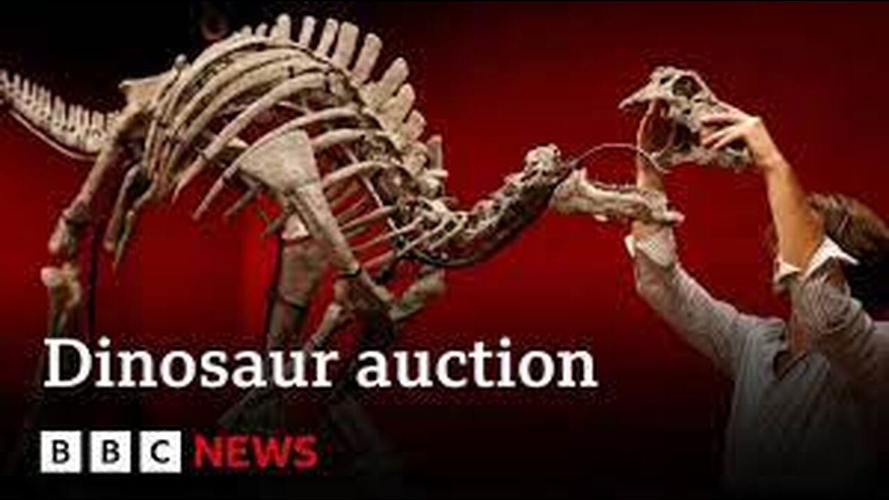 Rare dinosaur skeleton to be sold at auction - BBC News