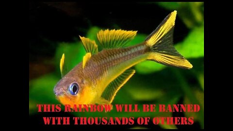 10,000 SPECIES OF FISH WILL BE BANNED