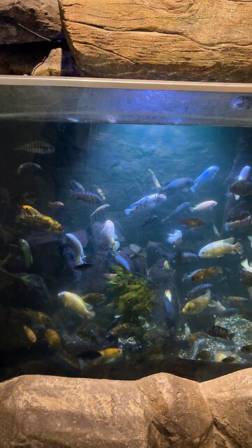 Calgary Zoo Aquarium