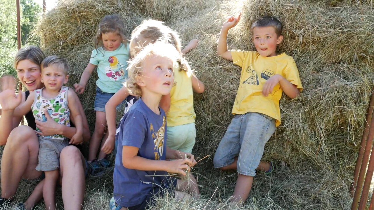 Hay Day | Harvesting 6 Months Worth Of Winter Feed On One Day