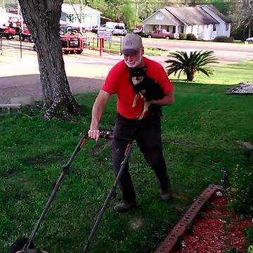 Grandpa Mows Lawn While Holding His Dog