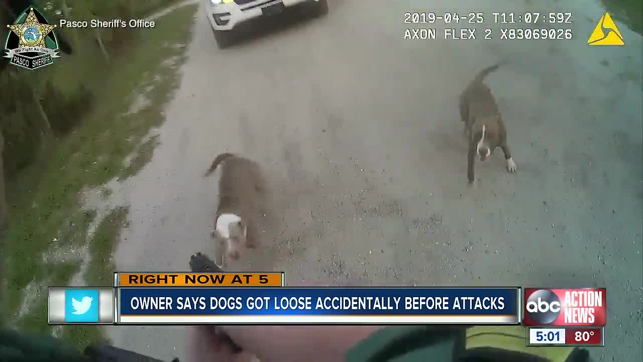 Teen, elderly man attacked by pack of dogs